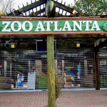 Zoologico de Atlanta