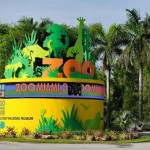 Miami Metrozoo o Zoologico de Miami