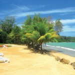 Playa del Playa Tortuga Hotel Beach And Resort
