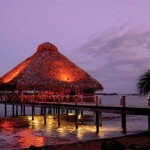 Restaurante del Playa Tortuga Hotel Beach And Resort