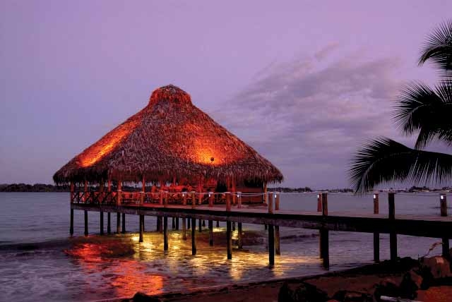 Restaurante del Playa Tortuga Hotel Beach And Resort