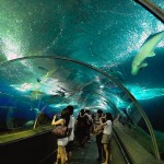 Underwater World en Singapur