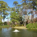Parque Hermann en Houston